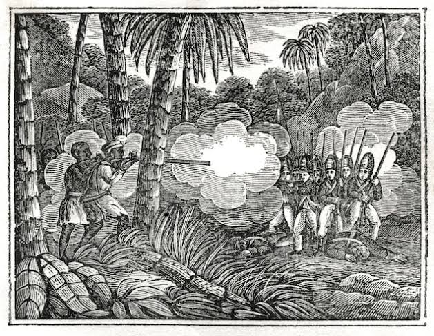 The Various Revolutions By Enslaved Africans Against Their Captors