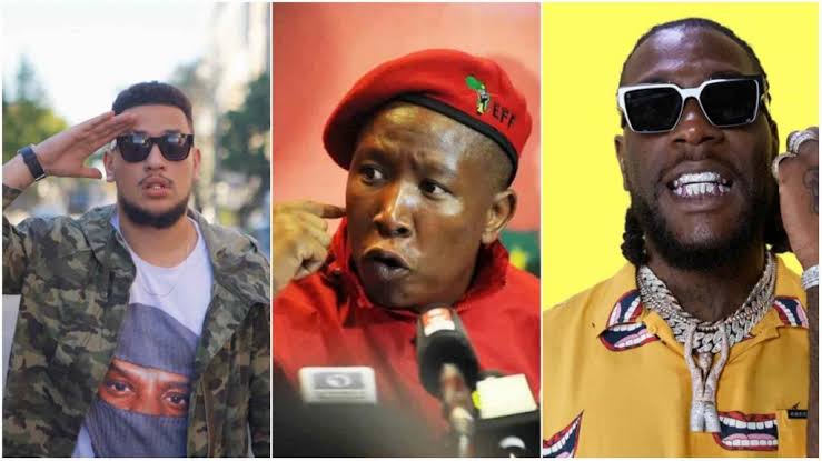 Burna boy Julius malema 