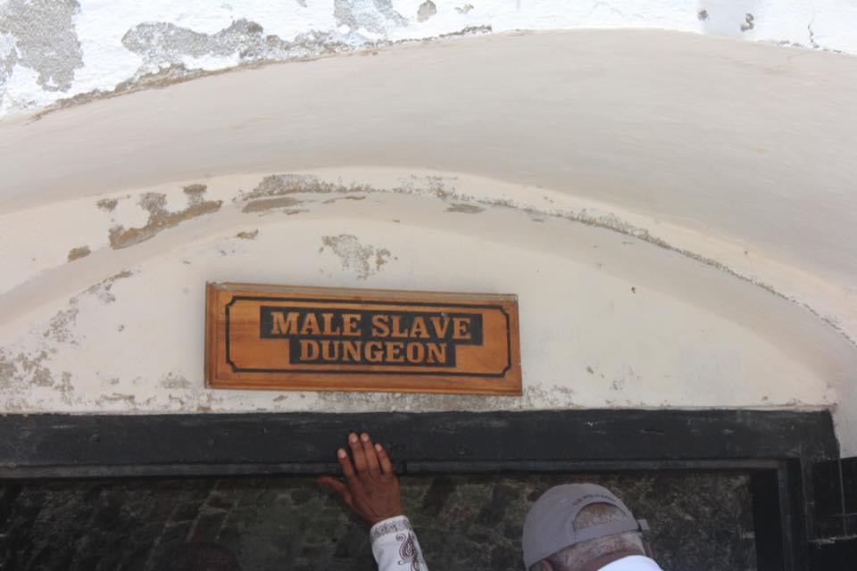 Elise Preston ancestry reveal 