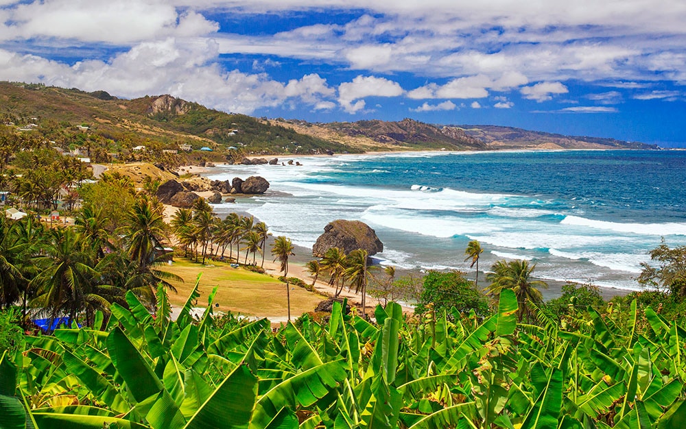Barbados east coast 