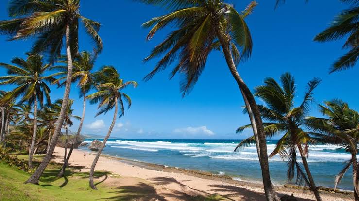 Six forbidden things in Barbados 