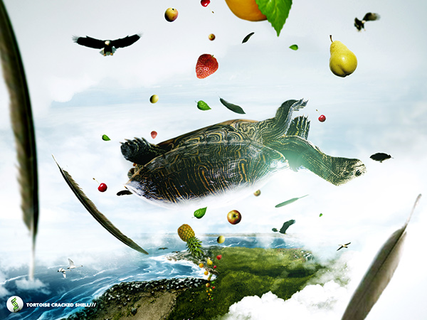 The tortoise and the birds