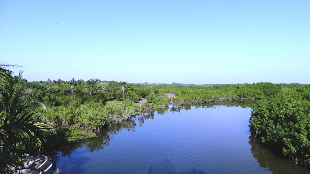 Forbidden things in Gambia