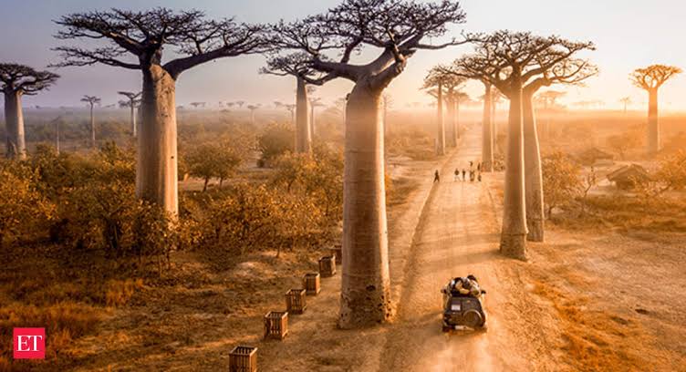 How Madagascar got its name 