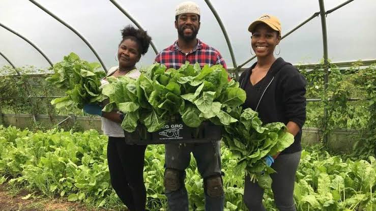 Black farmers 