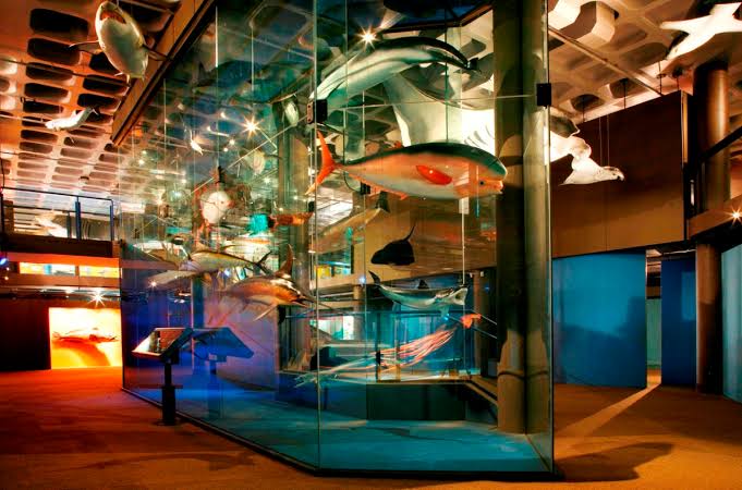 Ten Top Historical Museums To Visit In Africa