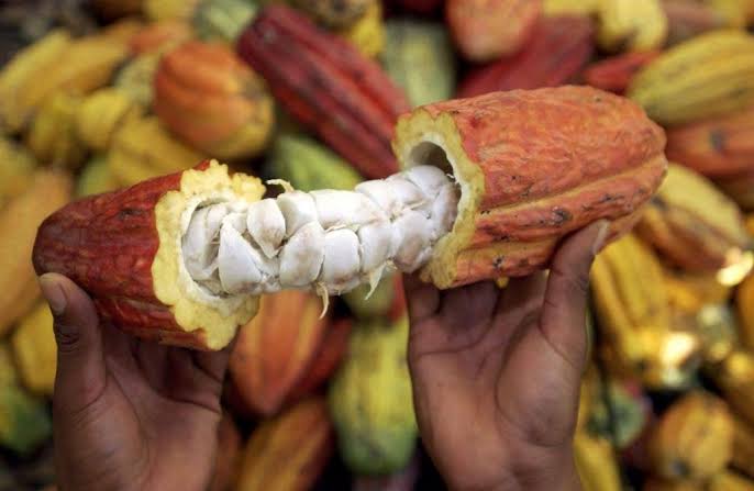 Five Interesting Things You Must Know About The Caribbean Islands Of Trinidad And Tobago