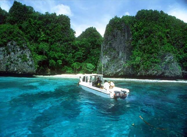 Thirteen Interesting Facts About Guinea That You Need To Know