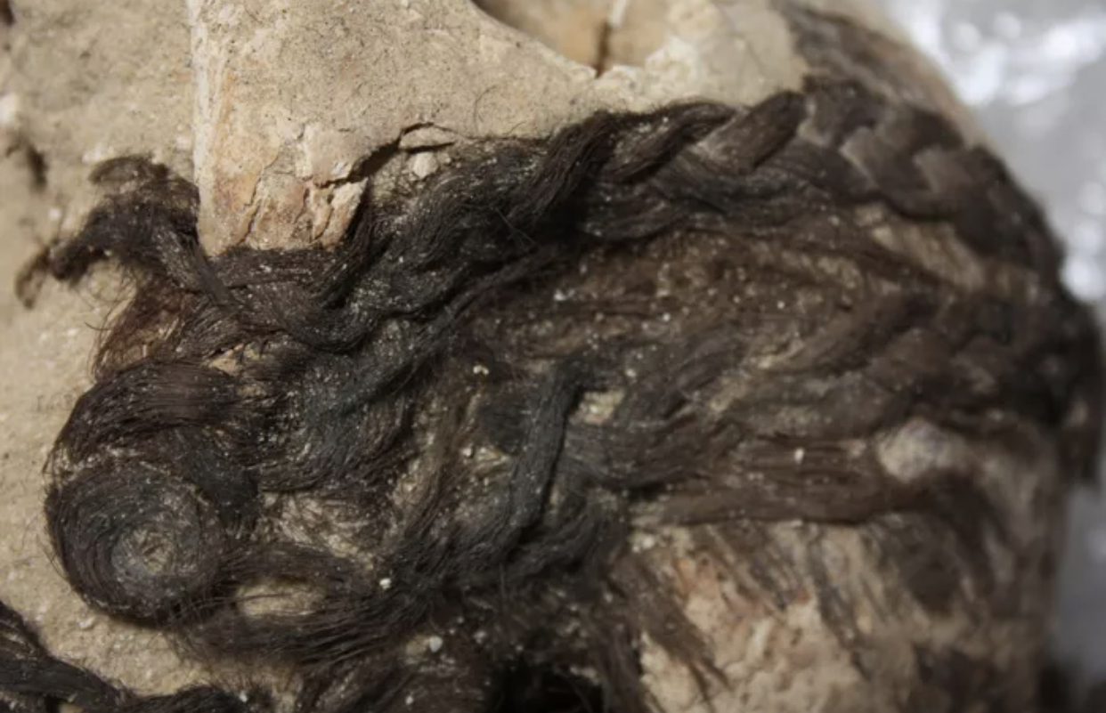 Amarna: The Discovery of over 3000 year old Egyptian hairstyles