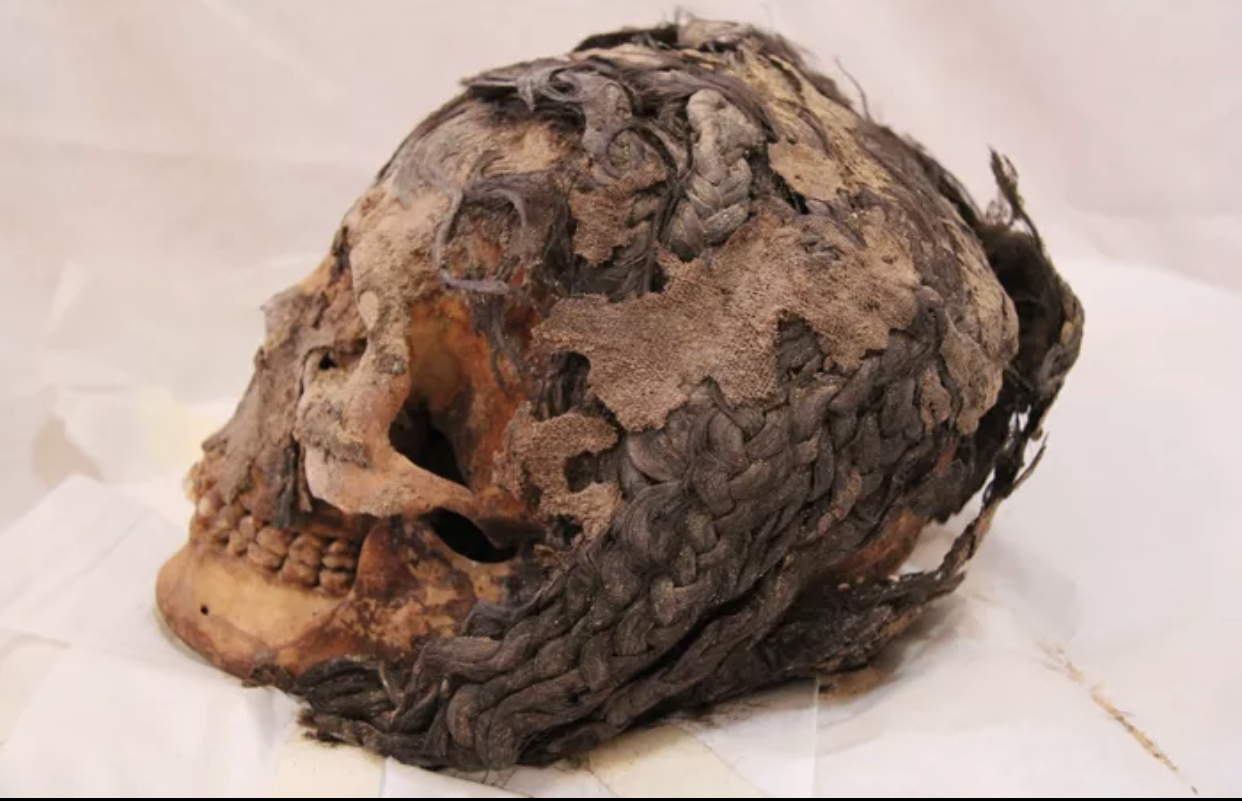 Amarna: The Discovery of over 3000 year old Egyptian hairstyles