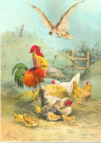 Why The Hawk Takes Away Little Chicks: An African Folklore 