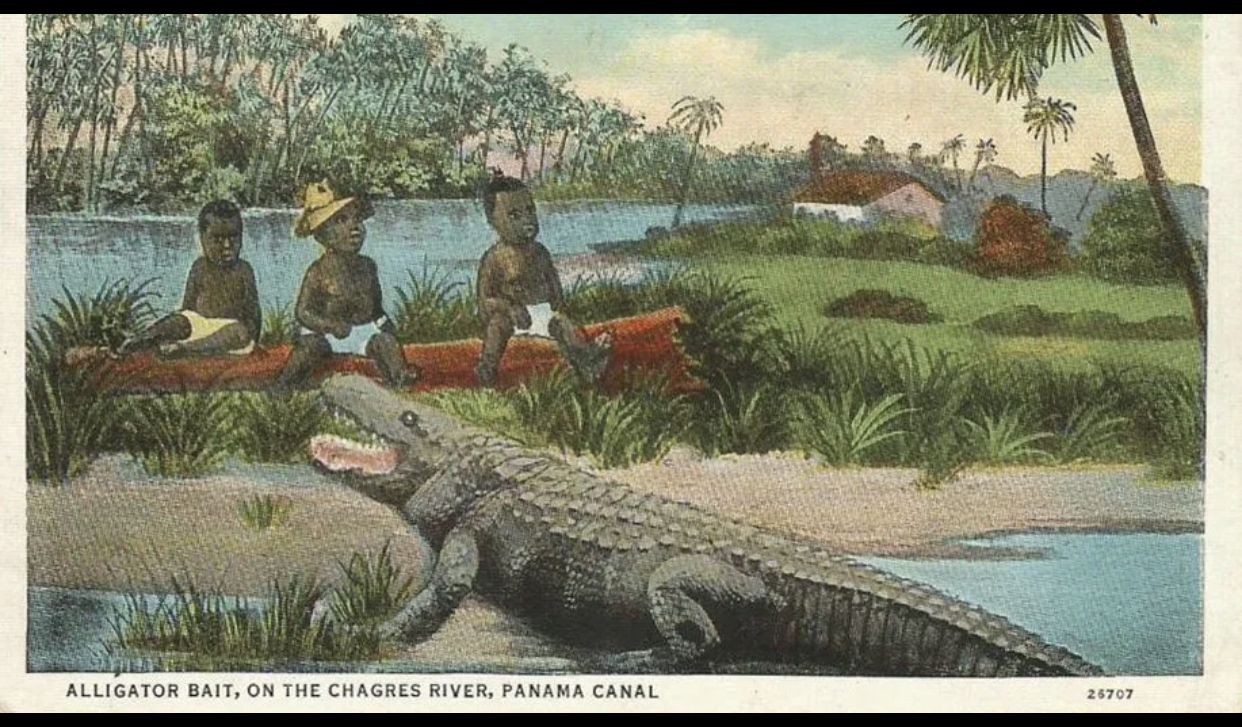 The Heartbreaking Stories Of Black Babies Used As Alligator Bait