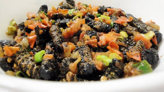 MBBATastyThursday: Mopane Edible Worms, A Southern African Delicacy