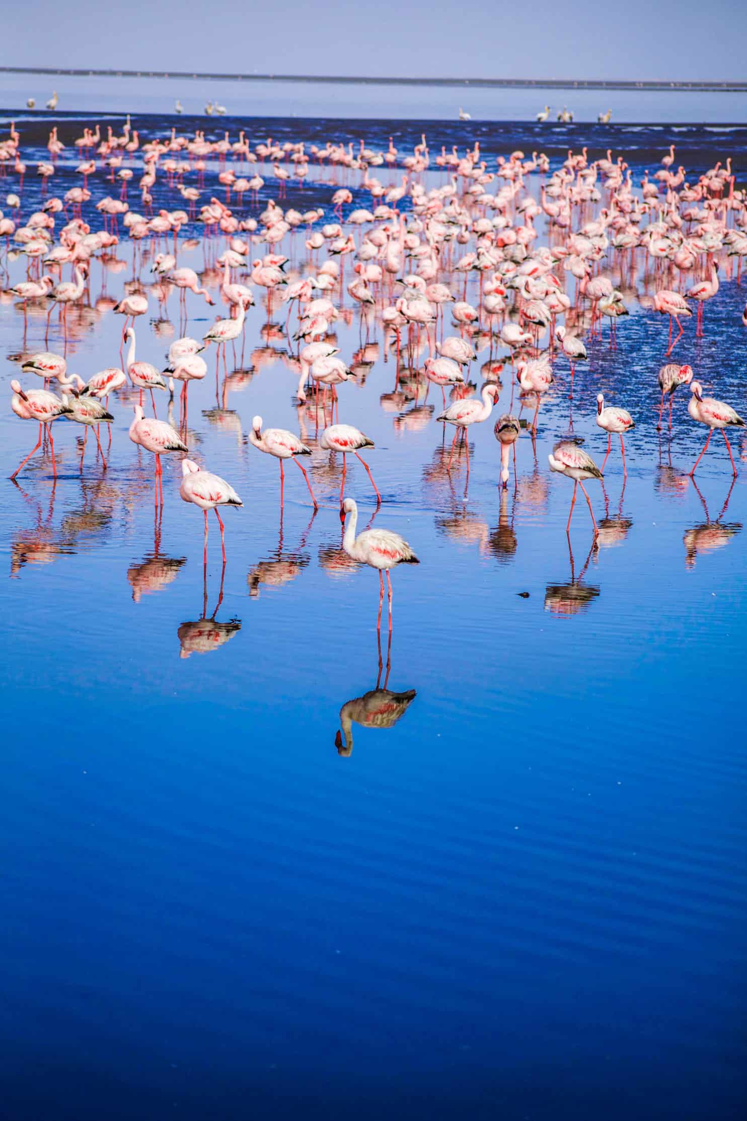 Black Love: Six Reasons to Honeymoon in Namibia