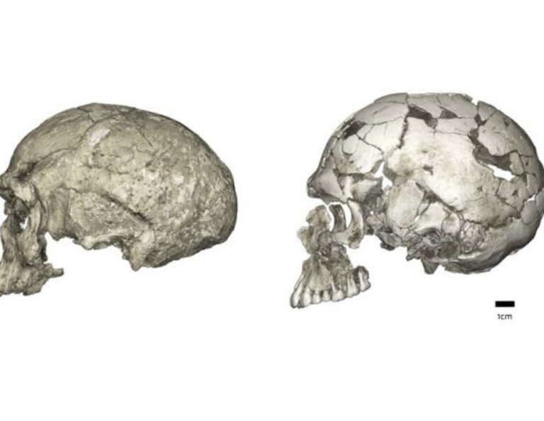 Every Human Came From one African Country- Oxford Study