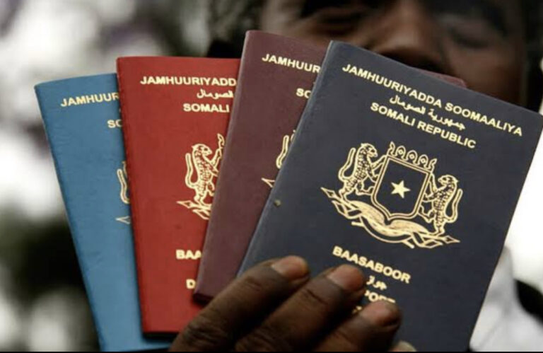Top 10 most powerful African Passports