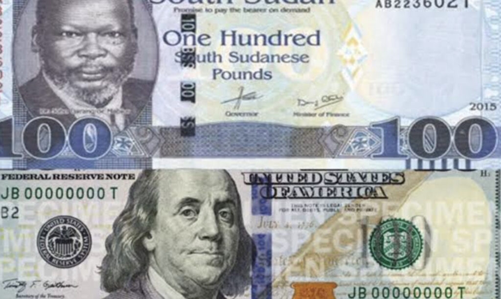 South Sudan Bans US Dollar Transactions