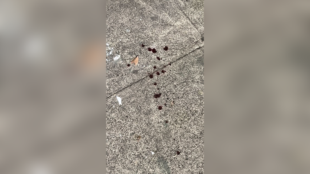 Cash App Founder Bob Lee Stabbed to death In San Francisco